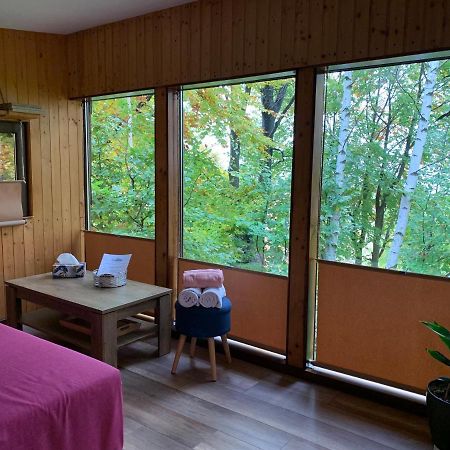 Trees House Parang Petroşani エクステリア 写真