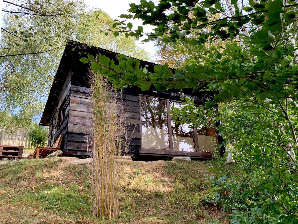 Trees House Parang Petroşani エクステリア 写真