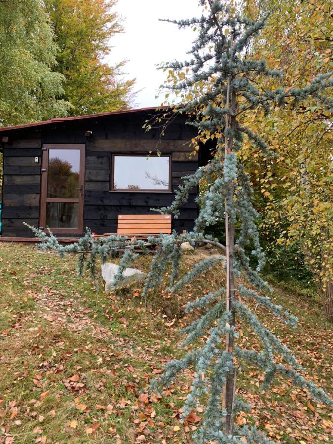 Trees House Parang Petroşani エクステリア 写真