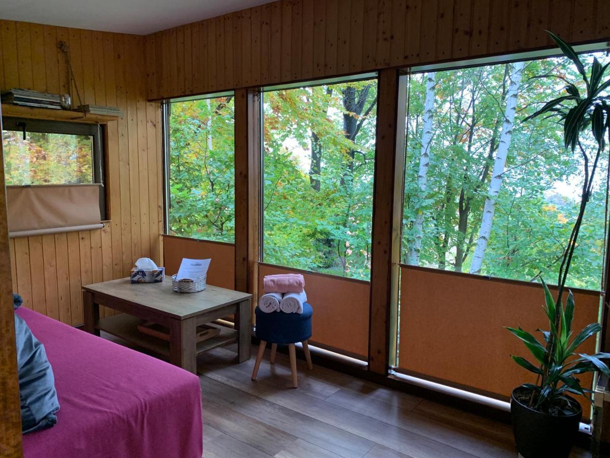 Trees House Parang Petroşani エクステリア 写真