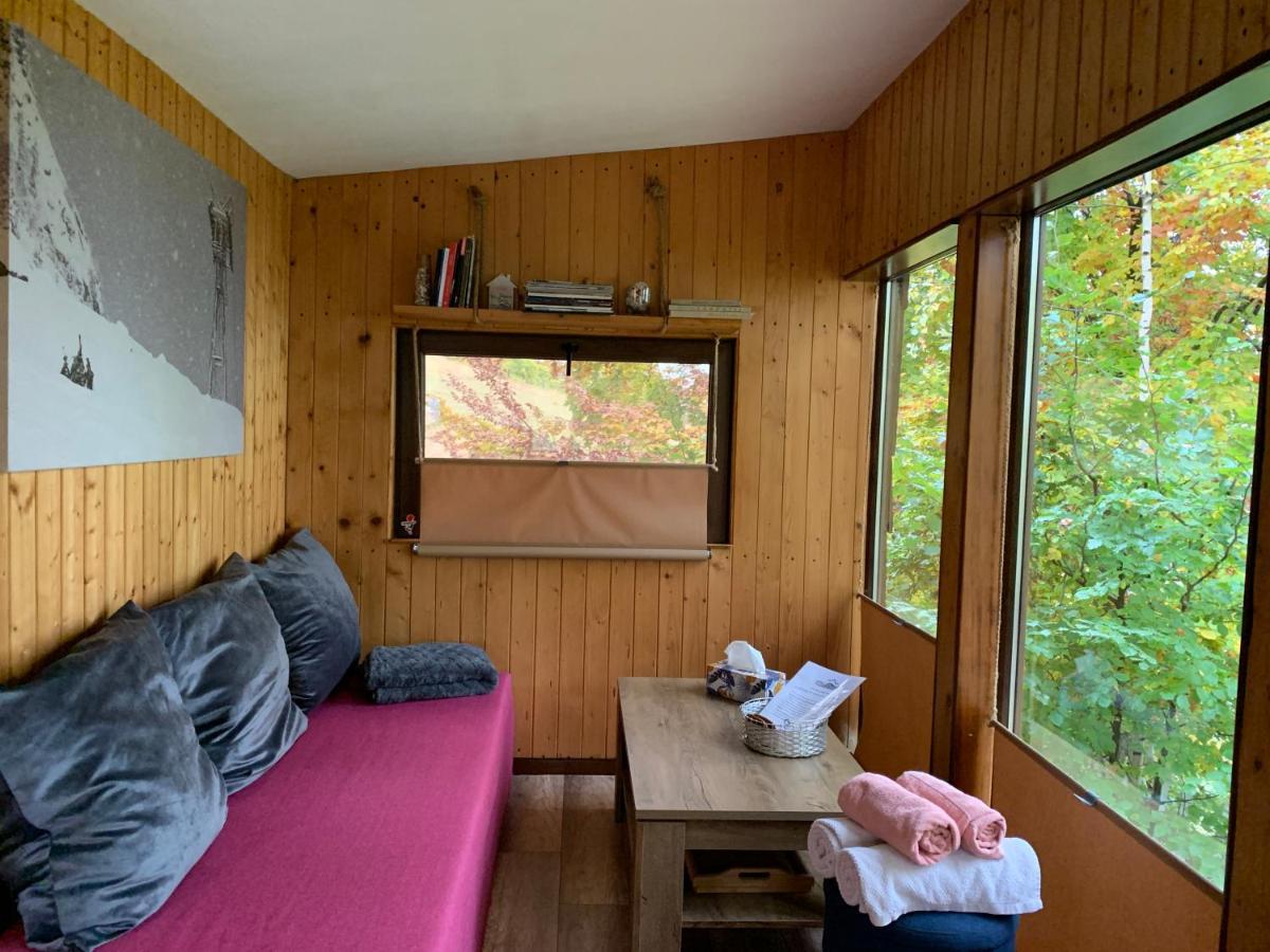 Trees House Parang Petroşani エクステリア 写真