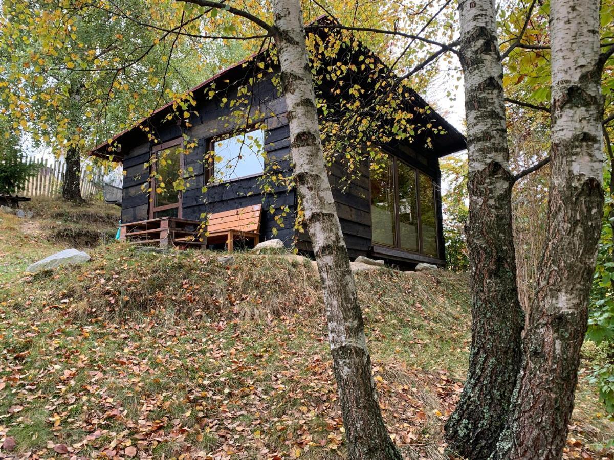 Trees House Parang Petroşani エクステリア 写真