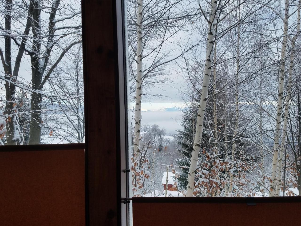 Trees House Parang Petroşani エクステリア 写真
