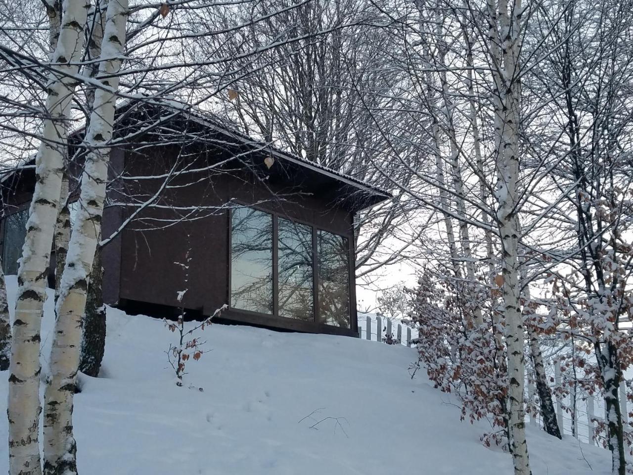 Trees House Parang Petroşani エクステリア 写真