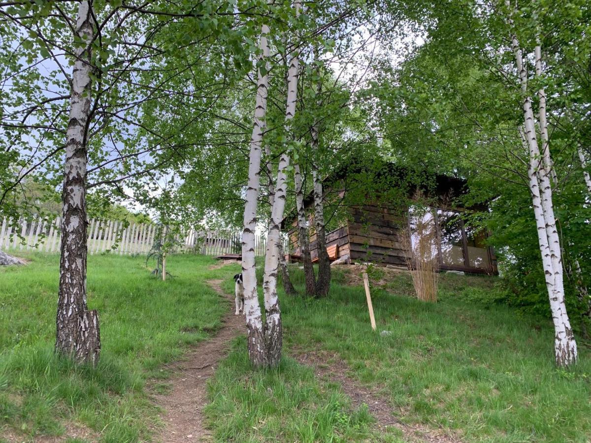 Trees House Parang Petroşani エクステリア 写真