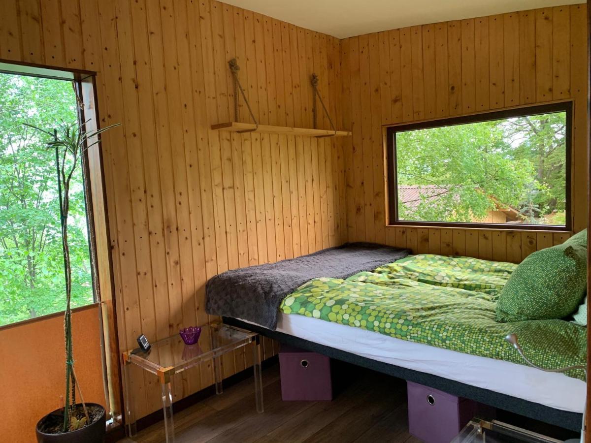 Trees House Parang Petroşani エクステリア 写真